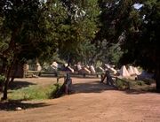 Confederate encampment