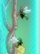 Wasps in menagerie.jpg (13 KB) Wasps