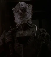 JemHadar Guard (Terok Nor).jpg (28 KB) Jem'Hadar guard DS9: "Favor the Bold"
