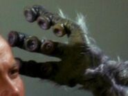 M-113 creature's hand.jpg (19 KB) Salt vampire