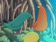 Plumed birds in menagerie.jpg (33 KB) Birds with head plumes