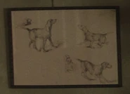 "Five Studies of a French Pointer" de Richard Parkes Bonington (1825-26*)