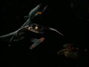 Terran fighter surrounded by Alliance ships de-cloaking