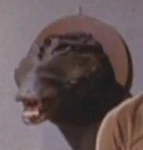 Trelane's alligator head mount.jpg (5 KB) Another alligator-like lifeform