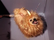 Alfa 177 canine.jpg (548 KB) An Alfa 177 dog-like animal