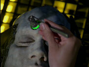 Janeway using tweezers