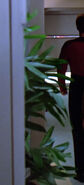 A green plant in a corridor (TNG: "Justice")