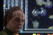 Phlox shows Archer the virus