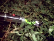 Ein Bodensensor des Dominions