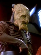 Nicholas Worth als lissepianischer Captain…