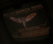 Phylum search mode - Ciona intestinal (Cicada).jpg (14 KB) Cicada Ciona intestinal