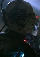 Assimilation Process Stage 6