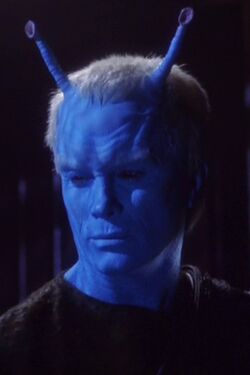 Shran2151