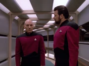 Riker erklärt Picard die Vorzüge von Lwaxana Trois Hochzeit