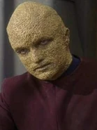 Sajen.jpg (39 KB) …als Sajen…