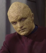 Sajen.jpg (60 kio) Sajen (ENT: "Detained")