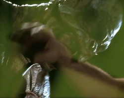 A Reptohumanoid Played by Mark Major and filmed on 24 October 1997