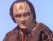 Elim Garak, 2374