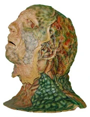 Vidiian makeup head - It's a Wrap