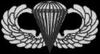 ParachuteBadge