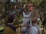 Data pets holographic Arabian horse ridden by Picard