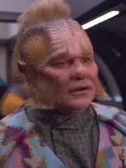 Das Hologramm von Neelix