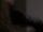 Klingone in einer Vision von B'Elanna Torres 2.jpg