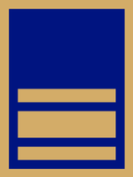 Fleet admiral epaulet