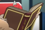 Nightingale Woman book