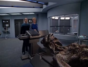 The Doctor and Seven test nanoprobes on 8472