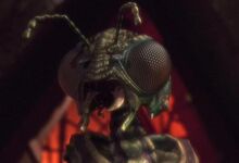 Xindi-Insectoid