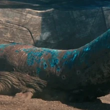 Trance Worm Memory Alpha Fandom