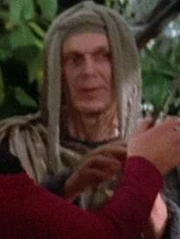 Bandi-Verkäufer (2364)