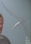 Kyrian pterodactyl.jpg (9 KB) A pterodactyl-like animal at the Museum of Kyrian Heritage