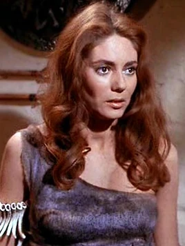 Sirah of the Yangs (2268)