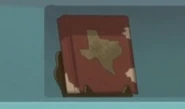A Texas book