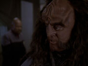 Gowron gibt Martok Schuld