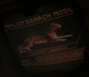 Phylum search mode - Alopex lagopus (Feline).jpg (14 KB) Feline Alopex lagopus