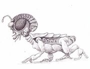 Xindi-Insectoid hatchling sketch