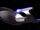 USS Enterprise-D two-foot studio model going to warp.jpg