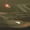USS Gargarin refit, 2261.png