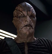 Y'Sek VOY: "Think Tank"