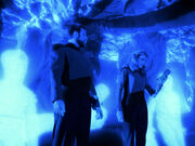 Members of the Enterprise-D crew in the Devidians' habitat, in a different time continuum.