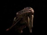 Kazon fighter