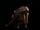 Kazon fighter
