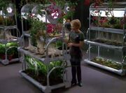 Kes notes miraculous growth on her plants in the airponics bay