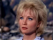 Vina Illusion Überlebende