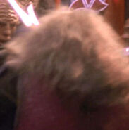 Tom Morga, Firstborn.jpg (16 KB) Stunt double for John Kenton Shull TNG: "Firstborn" (uncredited)