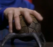 Bajoran ball-gavel.jpg (24 KB) A Bajoran ball-gavel in 2369