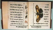 Baku bookpage.jpg (39 KB) A Ba'ku book with a pterodactyl